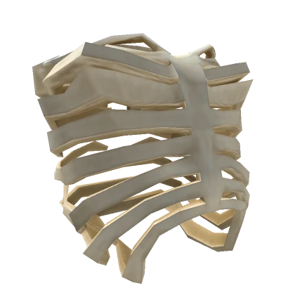 Skeleton Ribcage (for woman rig)