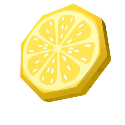 Citrus Lemon Slice Snack