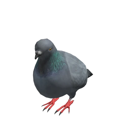 Mini Pigeon