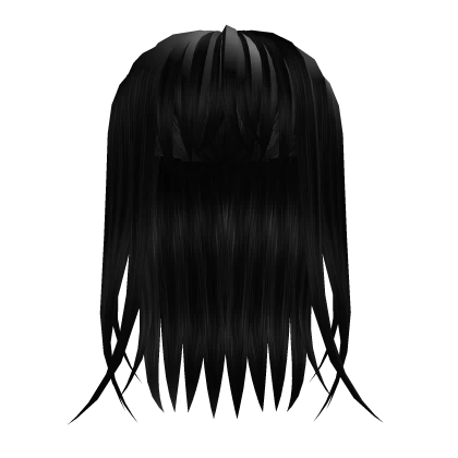 Long Half Up Straight Black Hair