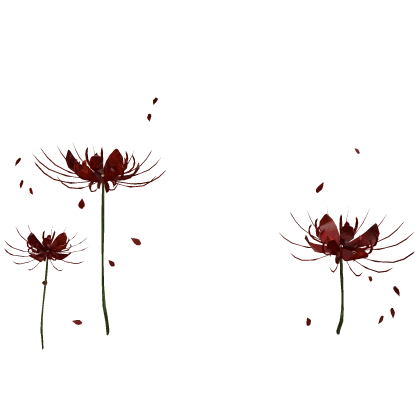 Red Spider Lilies