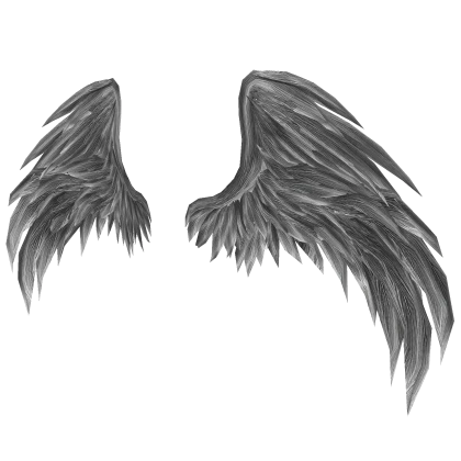 White Grey Angel Wings