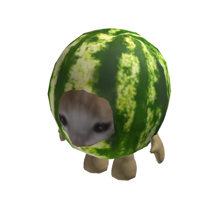 Watermelon El Gato Fruit Food Cat Suit