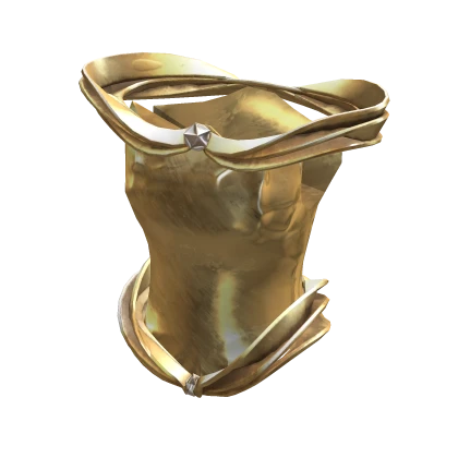 Gold Plate Corset