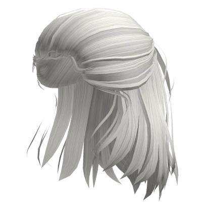 White Half-up Hair of the Rogue Prince