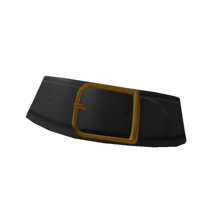 Wide Brim Belt Addon (Black/Gold)