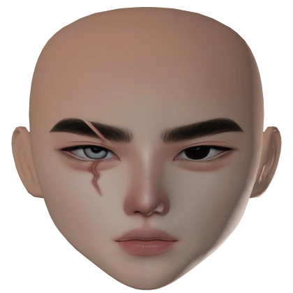 ZESLIN MALE GUY BOY FACE MAKEUP KOREAN ANIME 