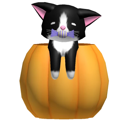 Pumpkin Kitty Friend