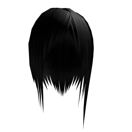 long black hairstyle