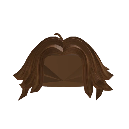 Brown Curtains Hair