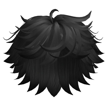 Light Messy Black Hair