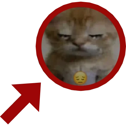 🥺 sad cat alpha sigma skibidi toilet rizz meme