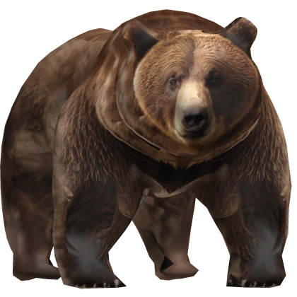 Grizzly Bear Guard 