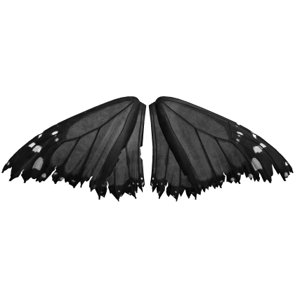 Monochrome Black Grey Monarch Butterfly Torn Wings