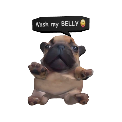 Pibble - Wash my Belly 🧼