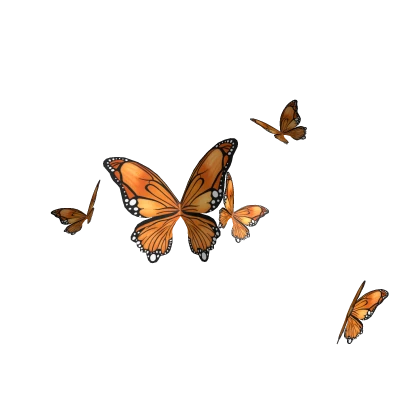 Butterfly swarm - Orange