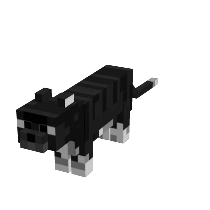Mini Cat Suit [4X Less]