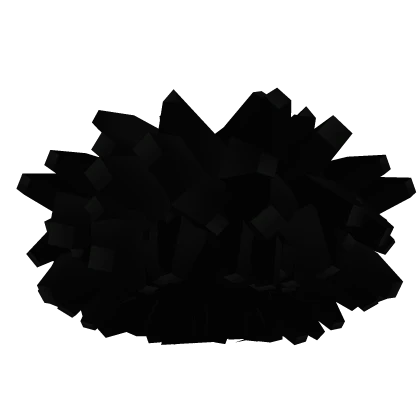 Black Coily Curly Afro Hair