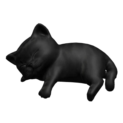 Cute Black Tabby Cat Kitten Sleeping On Head