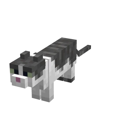 Mini Cat Suit