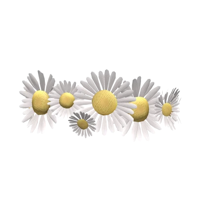 Daisy Chain Crown