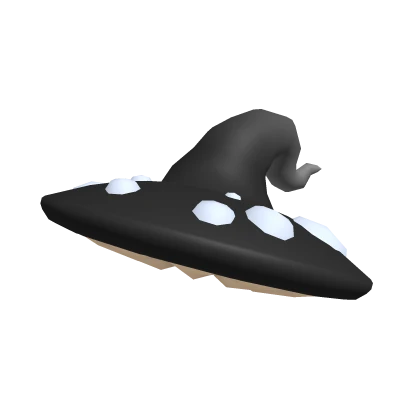 Black Mushroom Witch Hat