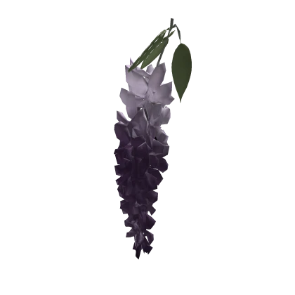 フジ属 wisteria cluster ♡