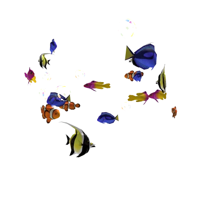 Tropical Fish School [Head]