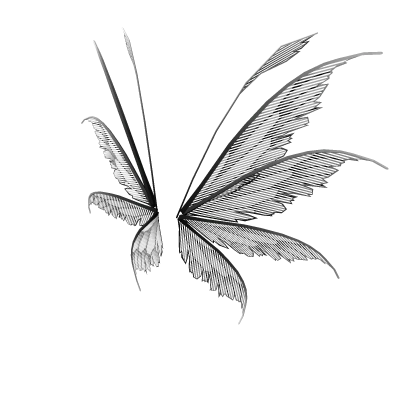 Transparent Black White Angel Fairy Wings