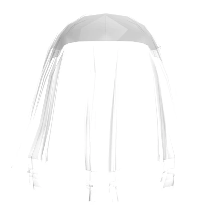 White Transparent Veil