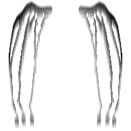 Transparent Reflective Tears - Black (1.0)