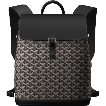 (4.0) Goyard Alpin MM Backpack