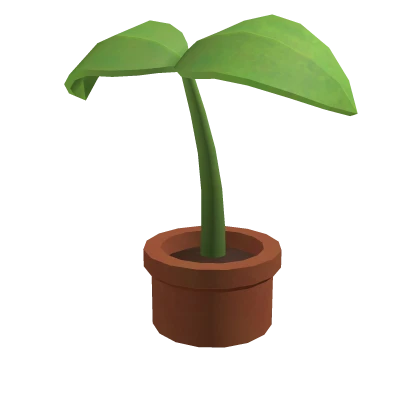 Cute Little Plant Sprout