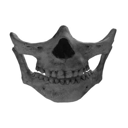 Skull Half Mask