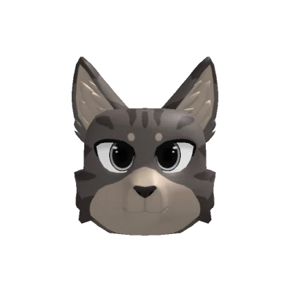 Tabby Cat Head