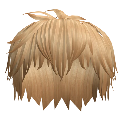 Blonde Boy Hair
