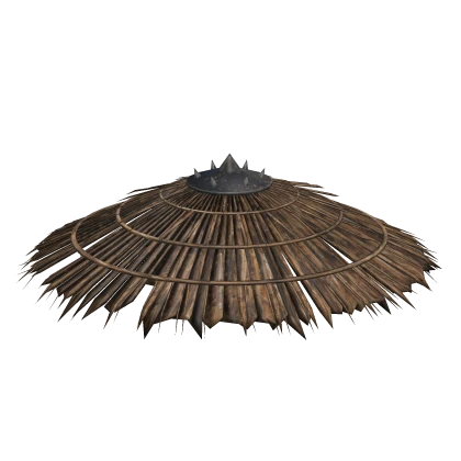 Samurai Ninja Straw Hat