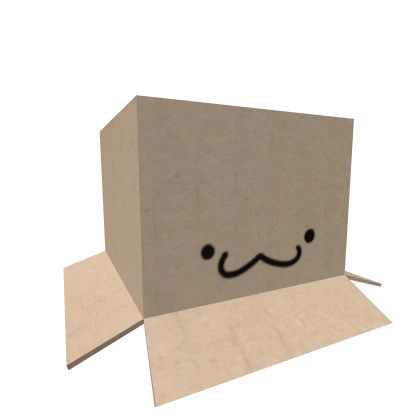 Cat Cardboard Box Head