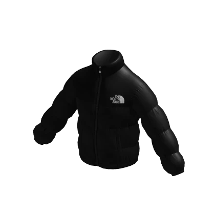 Black Puffy North Jacket