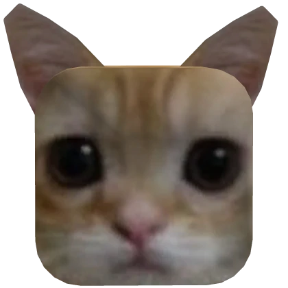 Cat Head