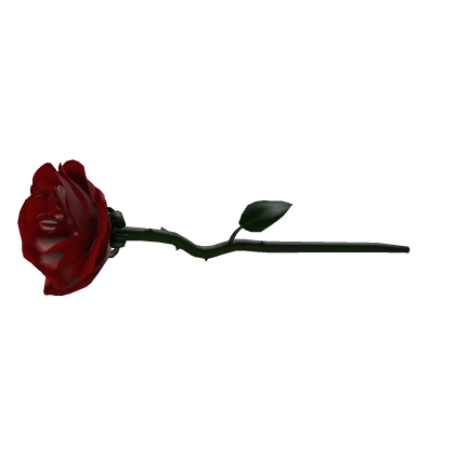 Rose 3.0 High Details Cute Trendy Flower