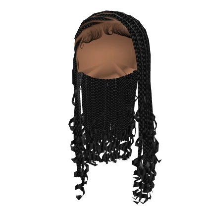 Fulani Lemonade Braids W/ Curls [Black]