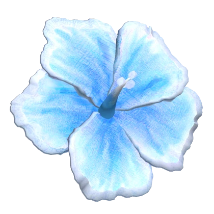 Summer Hibiscus Beach Flower