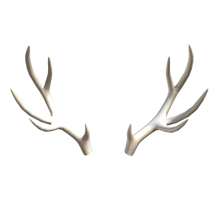 Pale White Deer Antlers