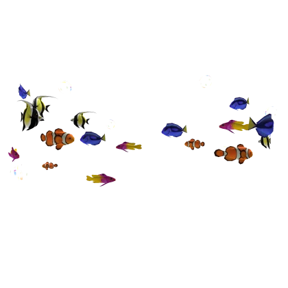 Tropical Fish School [Torso]