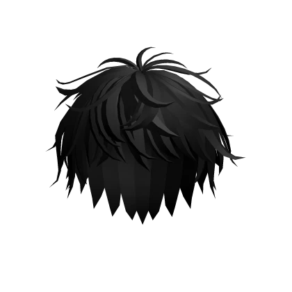 Full Black Fluffy Hair