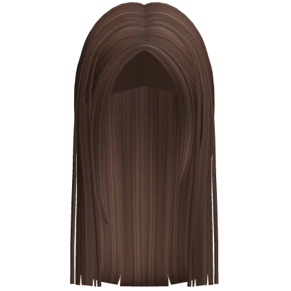 Long Straight Preppy Hair (Brown)