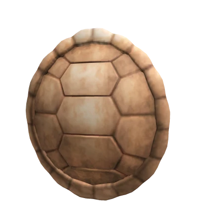 Turtle Back Shell