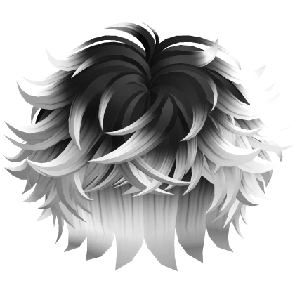 Messy Fluffy Anime Boy Hair (Black To White)
