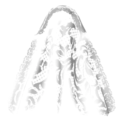 White Transparent Cathedral Length Lace Veil